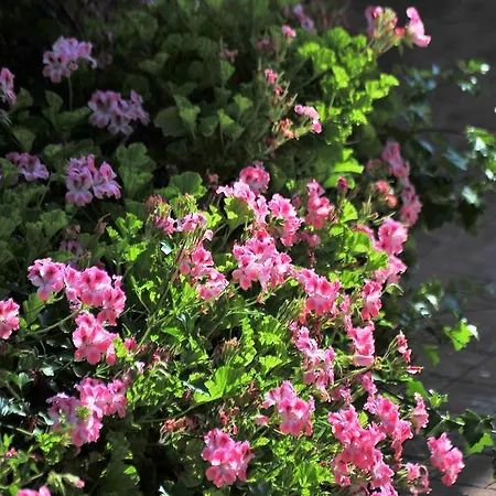 Kasgar Court Ayvaryara