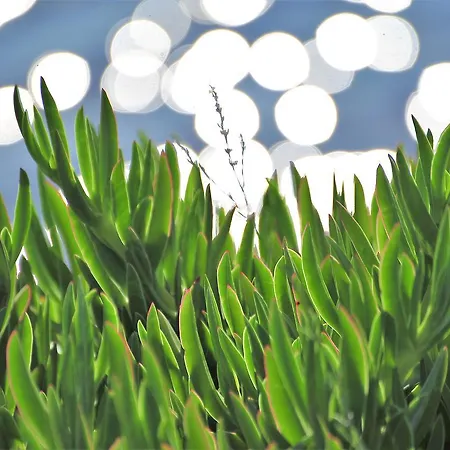 Kasgar Court Szálloda 2*