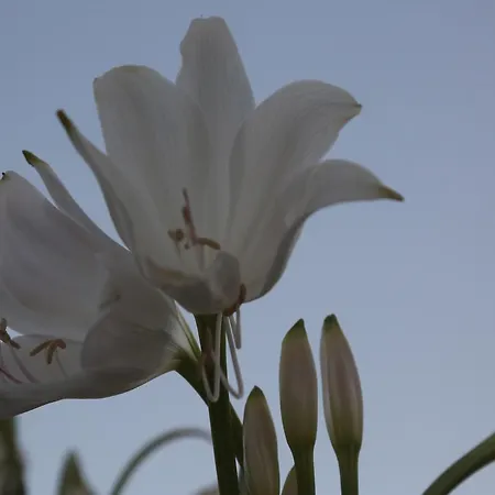 Hotel Kasgar Court 2*