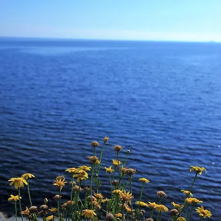 Kasgar Court Ayvaryara