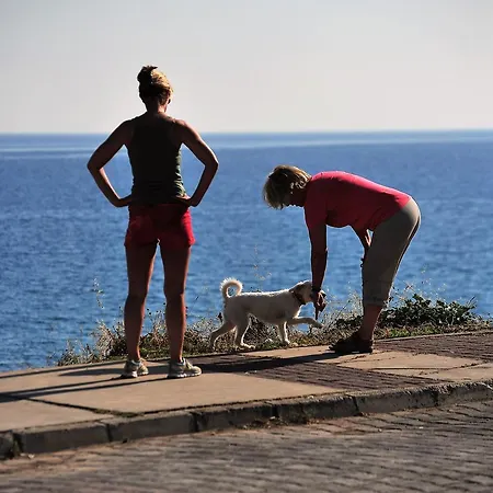 Kasgar Court Ayvaryara