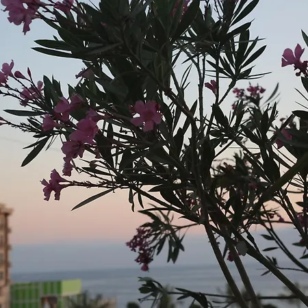 Kasgar Court Agia Varvara