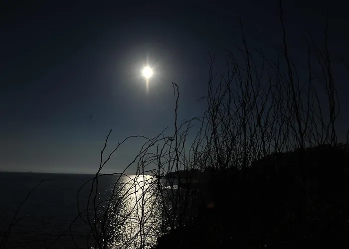 Kasgar Court מלון