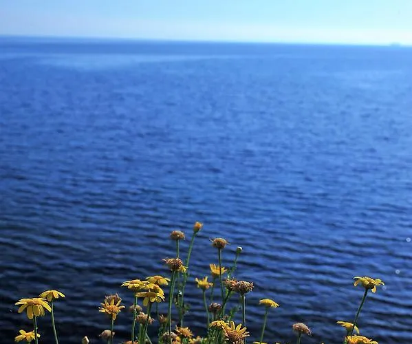 كاسغار كورت Ayvaryara