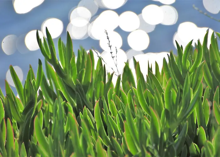 كاسغار كورت فندق 2*