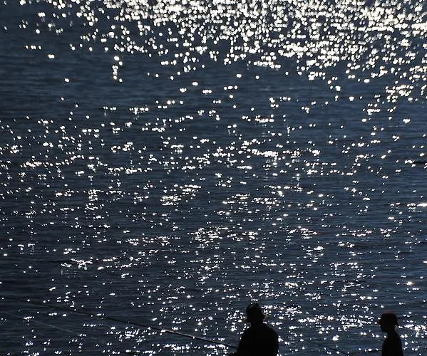 كاسغار كورت Ayvaryara