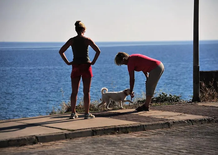 Kasgar Court Ayvaryara