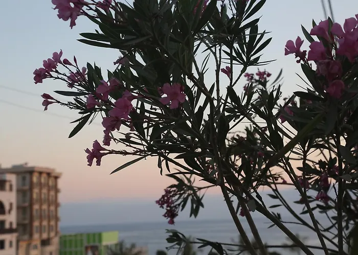 Kasgar Court Ayvaryara