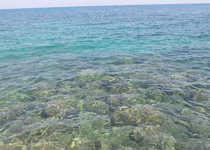 كاسغار كورت 2* Ayvaryara